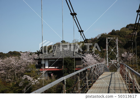 龜井公園 龜井公園 50313617