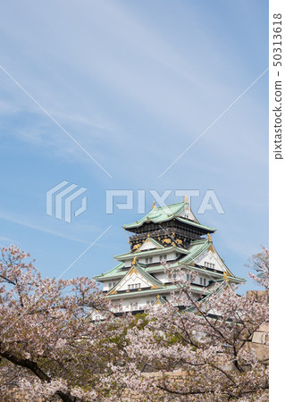 大阪城和櫻花 大阪城和櫻花 50313618