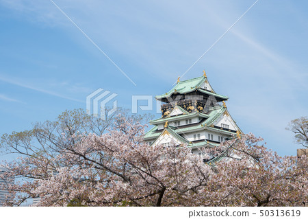 大阪城和櫻花 50313619