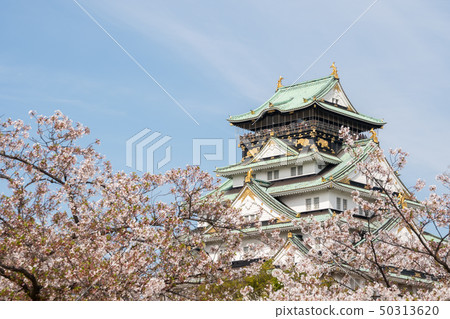 大阪城和櫻花 大阪城和櫻花 50313620