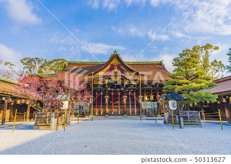 Kyoto Spring Kitano Tenmangu Shrine Kyoto Spring Kitano Tenmangu Shrine 50313627