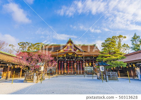 Kyoto Spring Kitano Tenmangu Shrine Kyoto Spring Kitano Tenmangu Shrine 50313628
