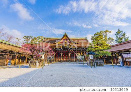 京都春天北野天滿宮 京都春天北野天滿宮 50313629