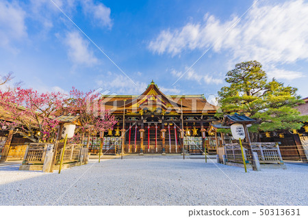 京都春天北野天滿宮 50313631