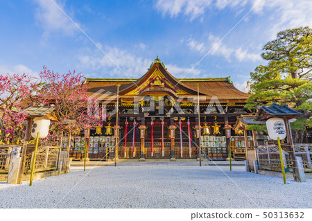 京都春天北野天滿宮 京都春天北野天滿宮 50313632