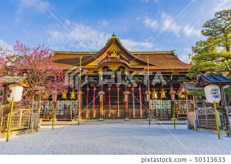 京都春天北野天滿宮 50313633