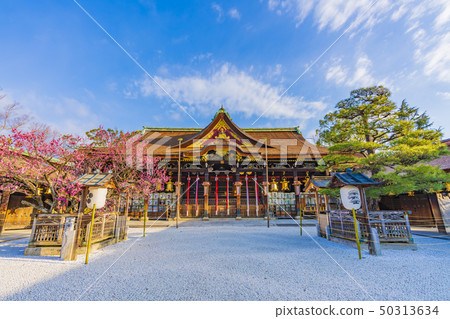 京都春天北野天滿宮 京都春天北野天滿宮 50313634