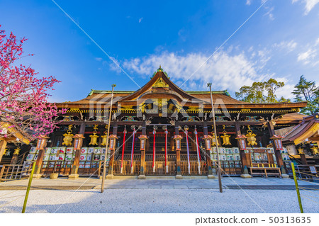 京都春天北野天滿宮 京都春天北野天滿宮 50313635