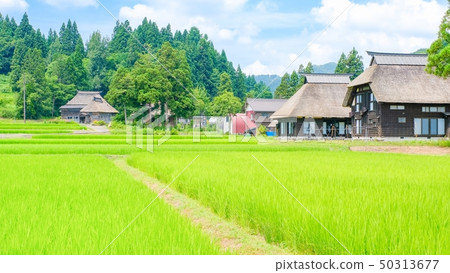 Rural landscape in summer (Ashinoshima ring village) Rural landscape in summer (Ashinoshima ring village) 50313677