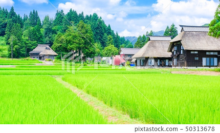 Rural landscape in summer (Ashinoshima ring village) Rural landscape in summer (Ashinoshima ring village) 50313678