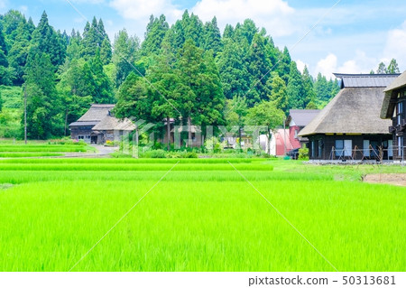 Rural landscape in summer (Ashinoshima ring village) Rural landscape in summer (Ashinoshima ring village) 50313681