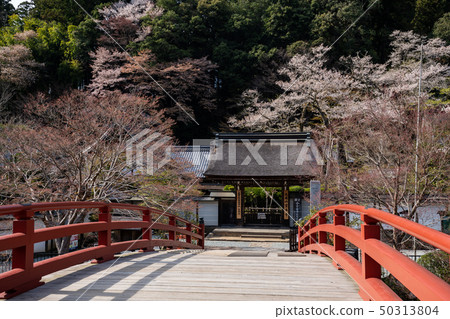 Muroyukuji in spring Muroyukuji in spring 50313804