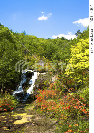 Chabot Migoke Park Fresh green and azalea 50314304