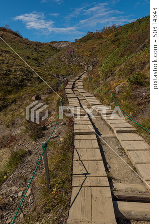Karamatsudake _山徑_樹道 Karamatsudake _山徑_樹道 50314343