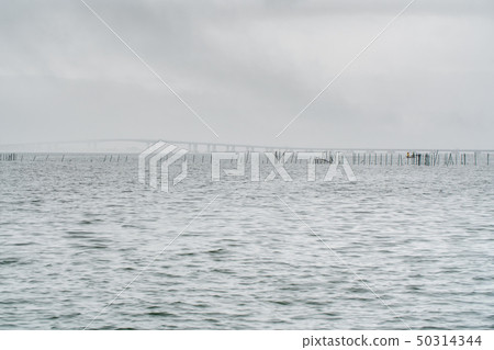 琵琶湖在一個下雨天 琵琶湖在一個下雨天 50314344