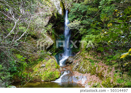 Rainbow Falls (Mie-cho, Kagawa Prefecture) Rainbow Falls (Mie-cho, Kagawa Prefecture) 50314497
