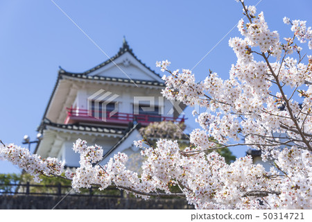 桐谷城堡櫻花春天盛開2019年 桐谷城堡櫻花春天盛開2019年 50314721