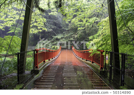scenery scenery 50314890