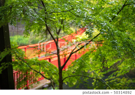 scenery scenery 50314892