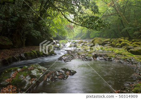 scenery 50314909