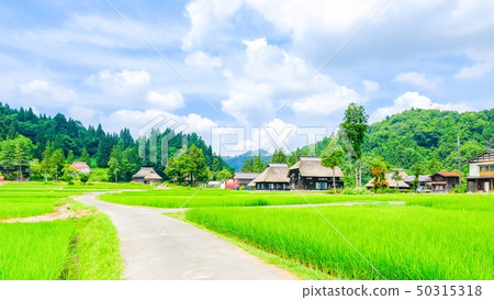 Rural landscape in summer (Ashinoshima ring village) Rural landscape in summer (Ashinoshima ring village) 50315318