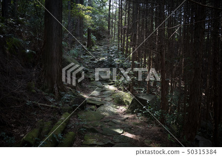 Kumano Kodo Kumano Kodo 50315384