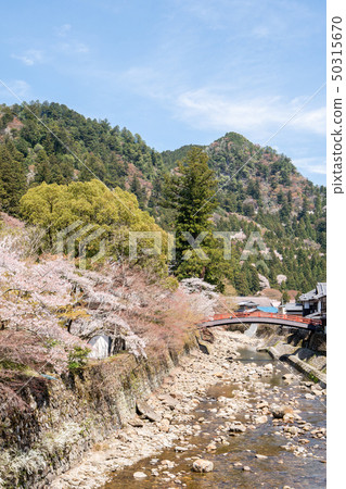 Muro river in spring Muro river in spring 50315670