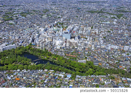 Around Kichijoji / residential area in the suburbs, aerial shot 50315826