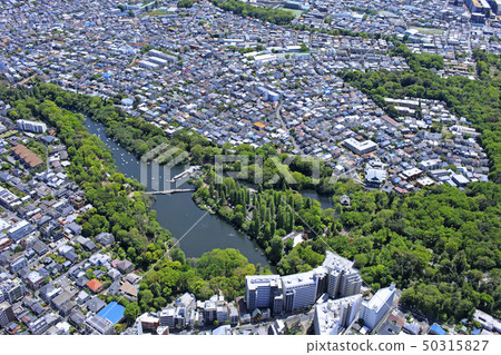 吉祥寺周邊/郊區住宅區,空中拍攝 吉祥寺周邊/郊區住宅區,空中拍攝 50315827