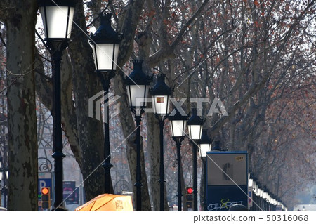 Barcelona, streetlight Barcelona, streetlight 50316068