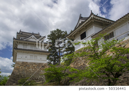 福山城堡伏見Oto 福山城堡伏見Oto 50316441