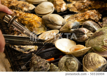 貝類 貝類 50316994