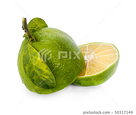 lime citrus fruit (lime cut) isolated on white lime citrus fruit (lime cut) isolated on white 50317149