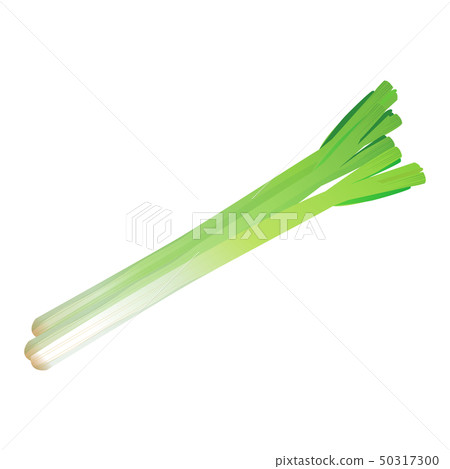 A long onion A long onion 50317300