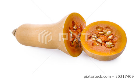 butternut squash isolated on white background butternut squash isolated on white background 50317409