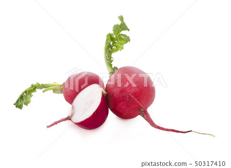 radish isolated on white background radish isolated on white background 50317410