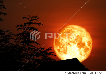 Full blood Corn Planting Moon back silhouette dry Full blood Corn Planting Moon back silhouette dry 50317729