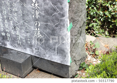 Takumoto's work Takumoto's work 50317790