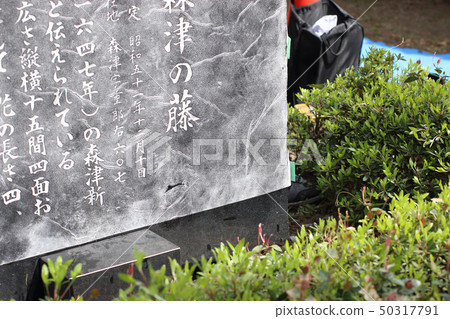 Takumoto的工作 50317791