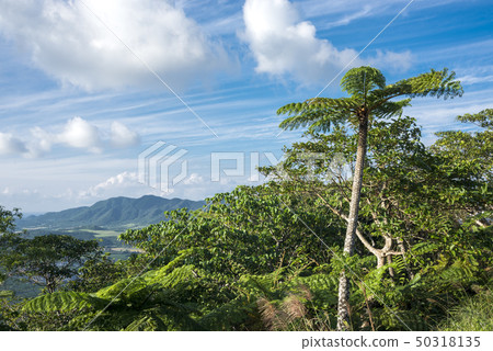 Hego Island on Ishigaki Island under the sky against the mountain 50318135