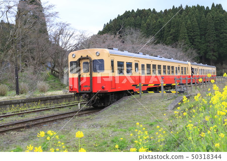 Spring Ogura Railway Tsukizaki Station 50318344
