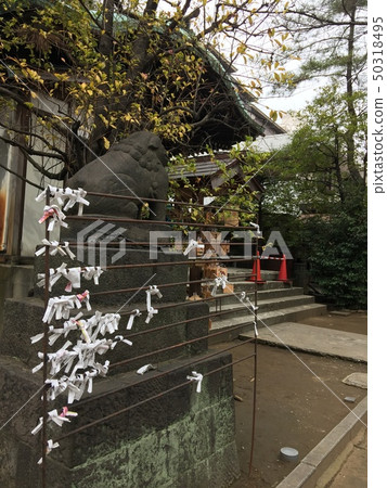 三田八幡神社Omikuji 三田八幡神社Omikuji 50318495