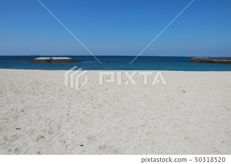 二見海濱公園 50318520