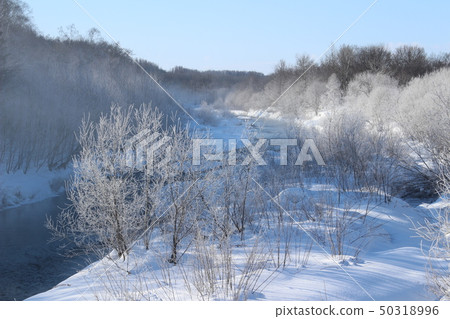 Foggy ice 50318996