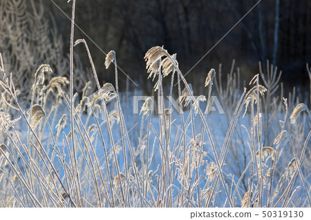 有霧的冰 有霧的冰 50319130