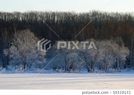 有霧的冰 有霧的冰 50319131