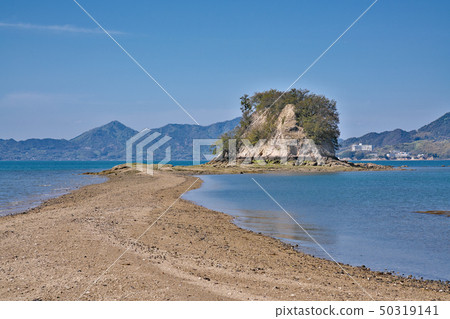 [Daikon Sumishima] Ehime Prefecture Imabari City Kiho 50319141
