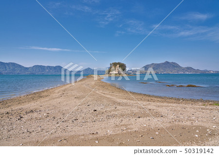 [Daikon Sumishima] Ehime Prefecture Imabari City Kiho 50319142