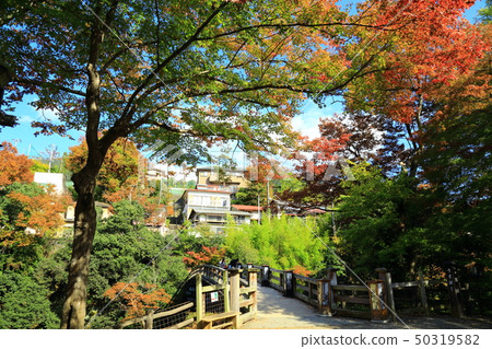 The Sakuhashi in Meisho Kai The Sakuhashi in Meisho Kai 50319582
