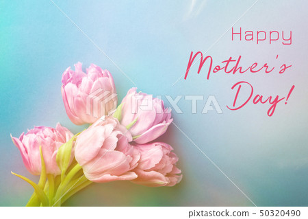 Pink tulips on turquoise background. 50320490